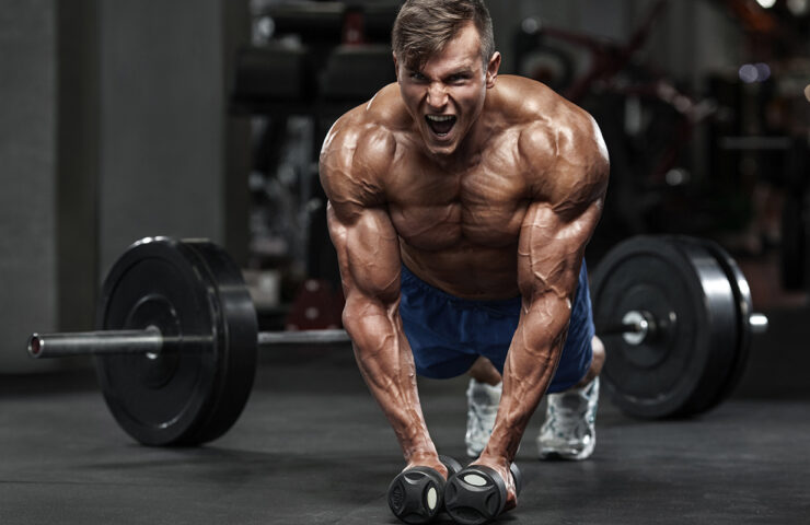 Step-by-Step-Guide-for-Muscle-Development-blog